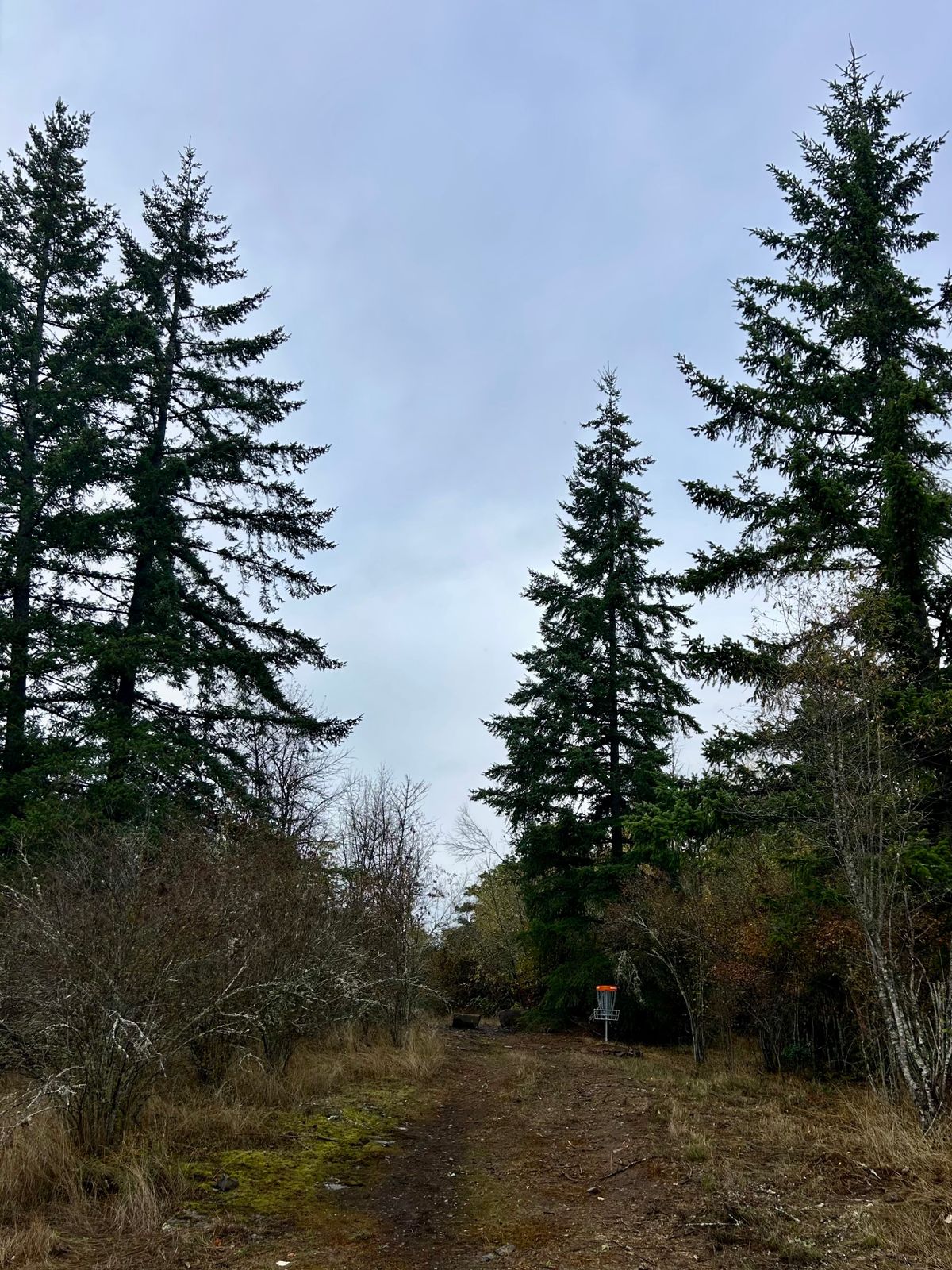 Hole 3