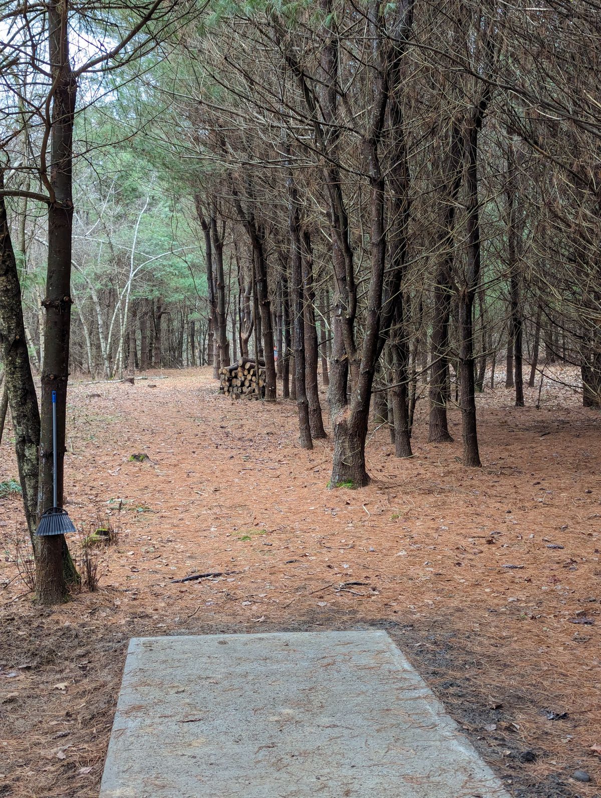 Hole 2 Blue tee
