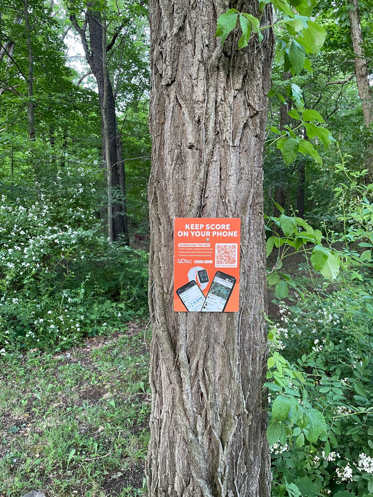 Udisc sign near hole 1.