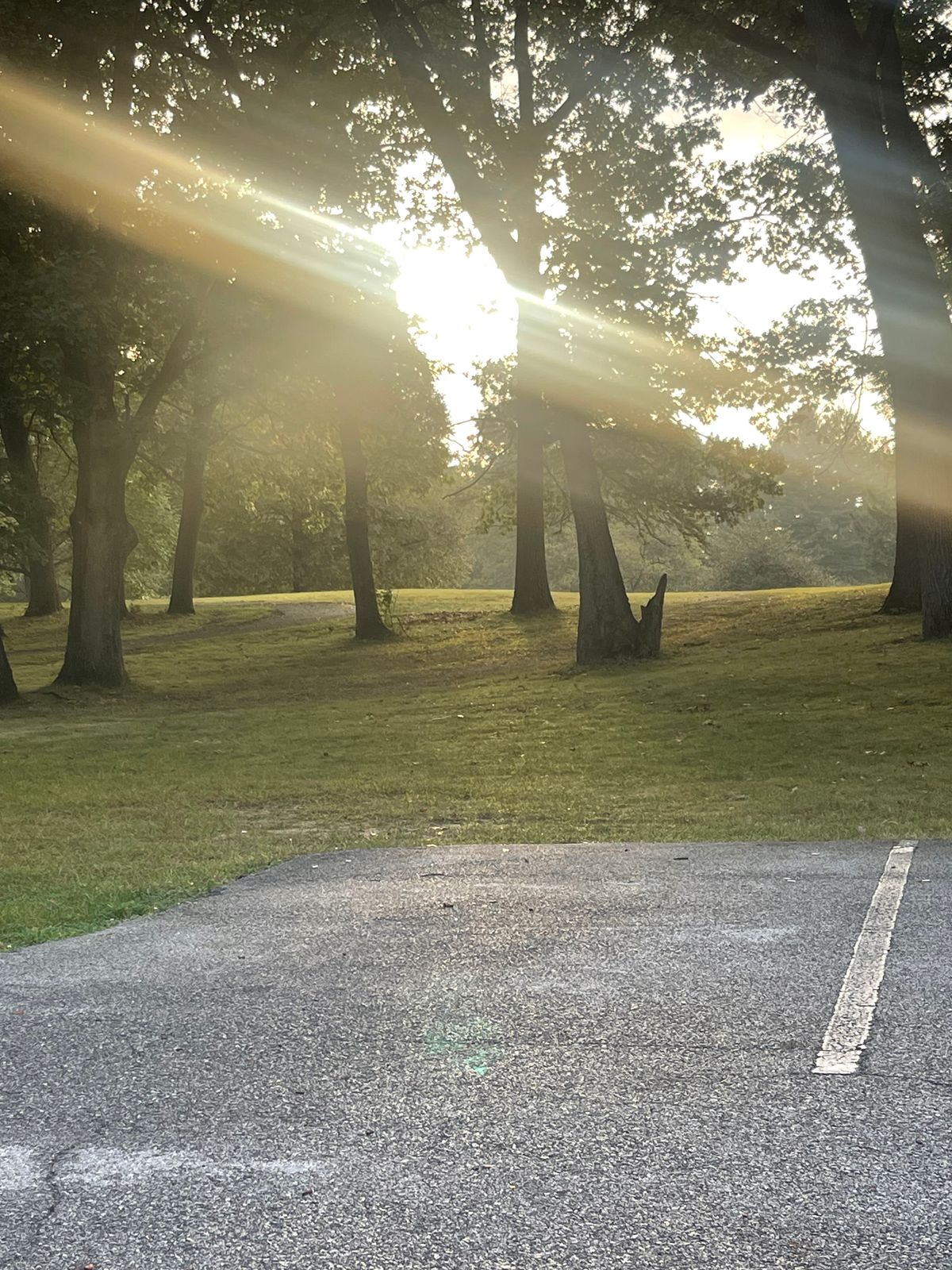 Hole 11