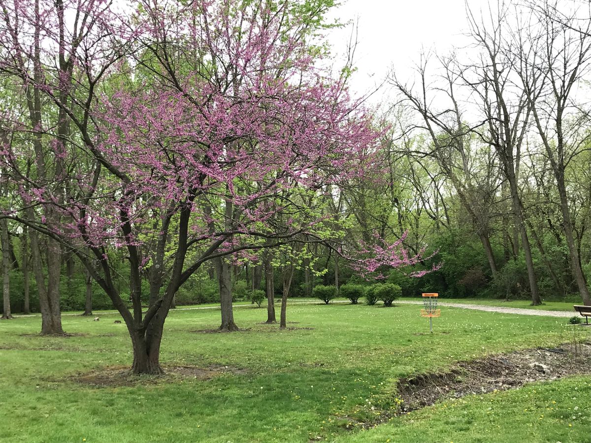 Hole 4
