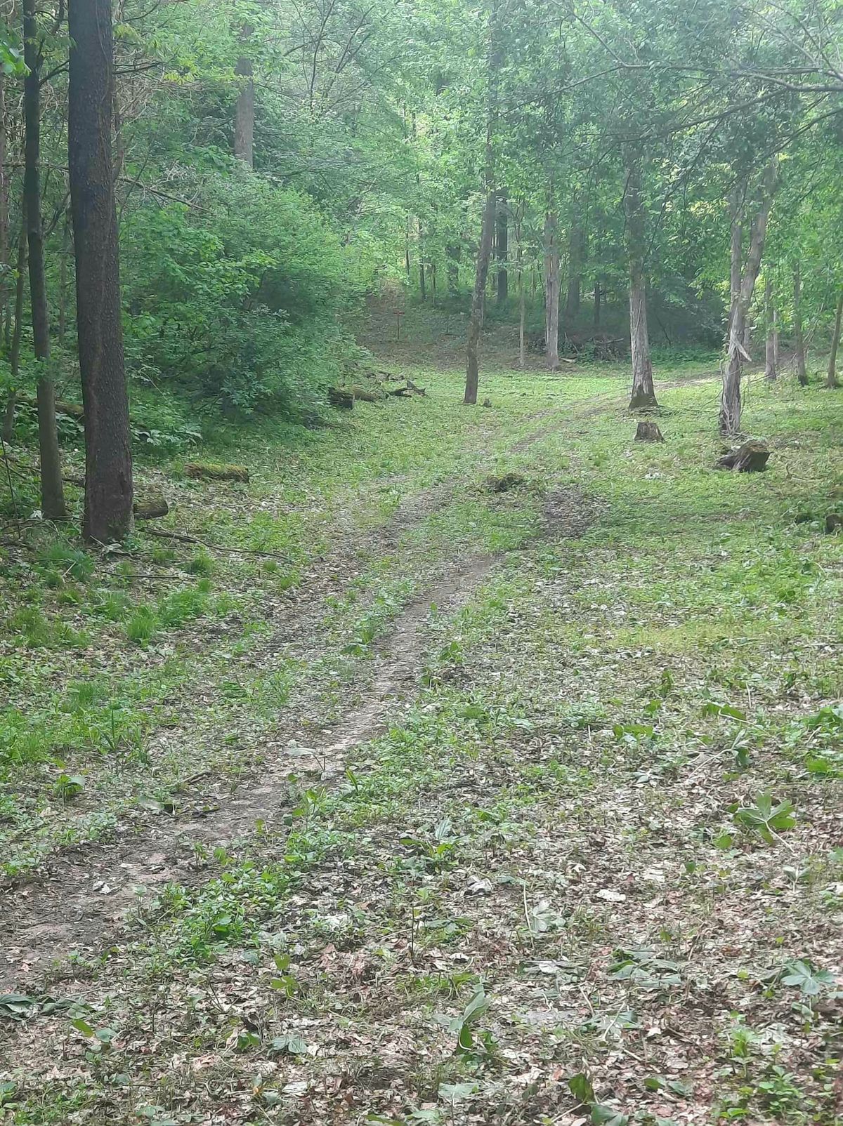 Hole 15