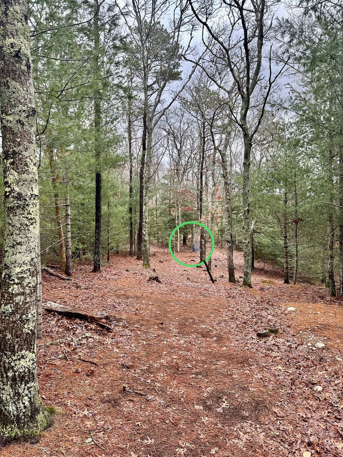 Hole 2 approach 