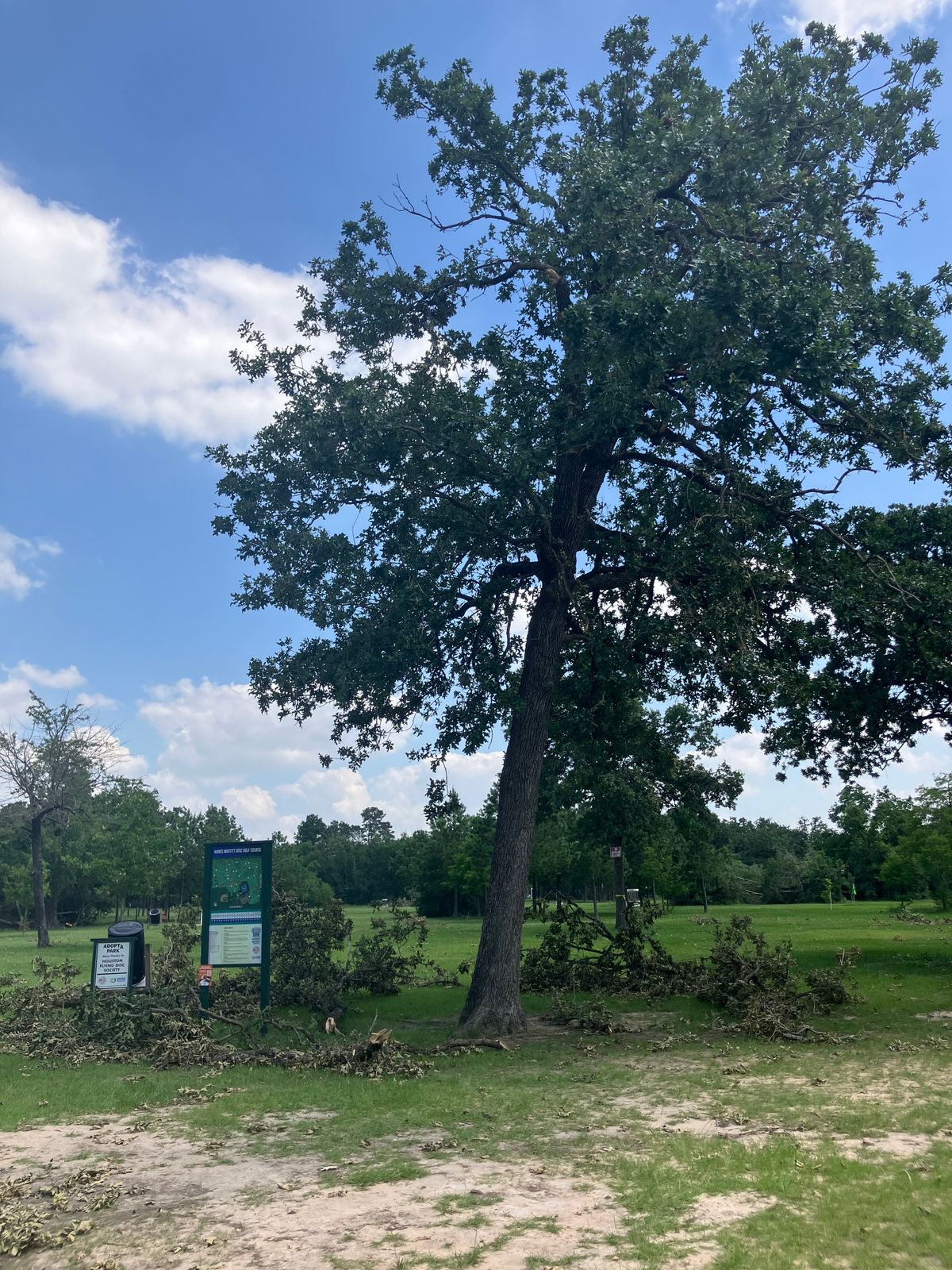 Hole 1 and map