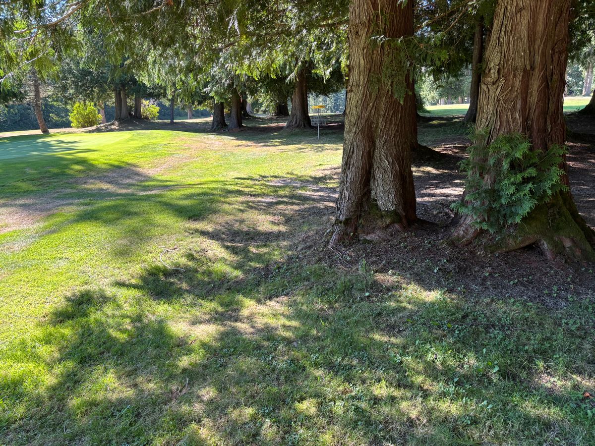 Hole 10 short of the basket