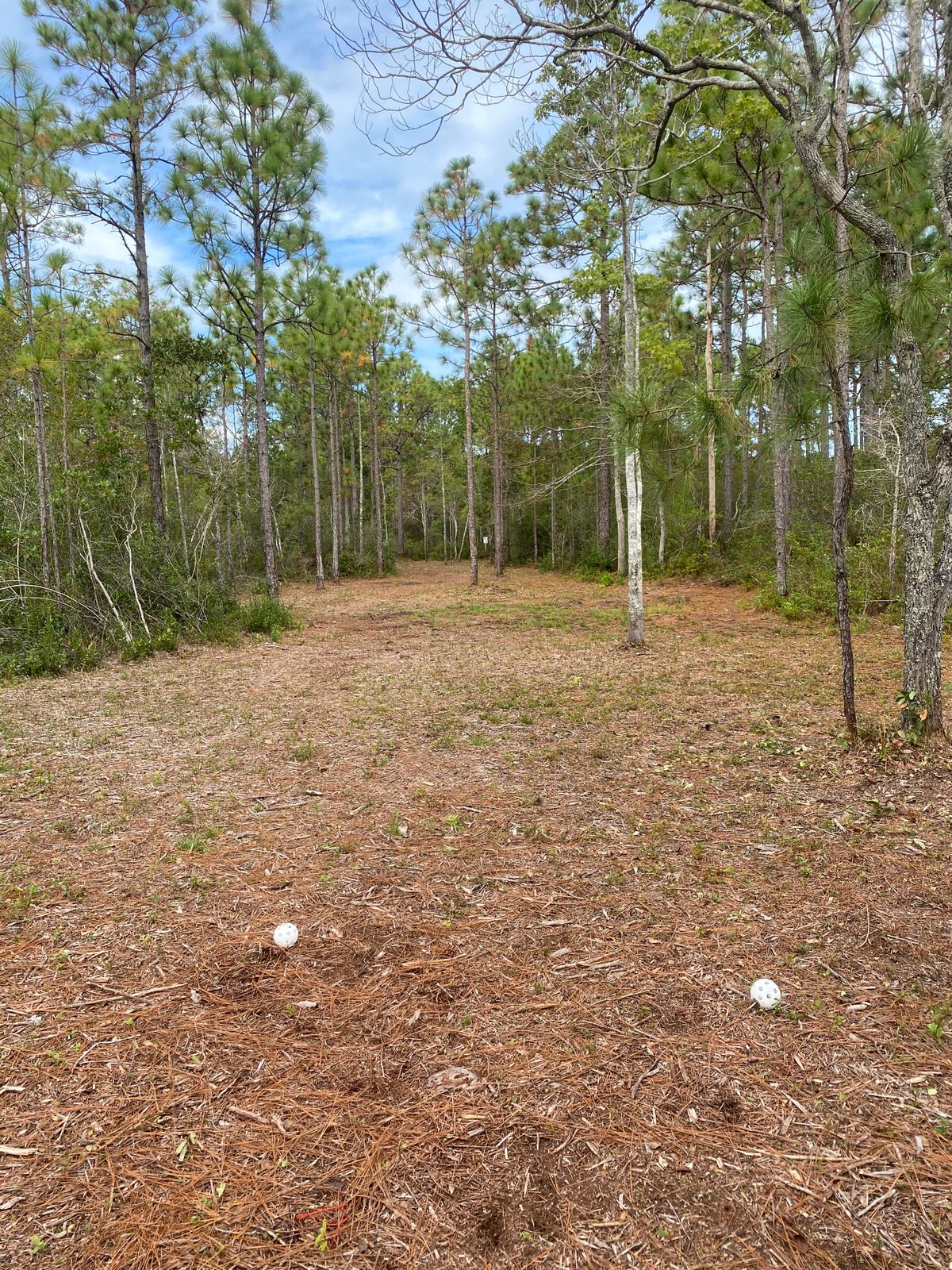 Hole 3