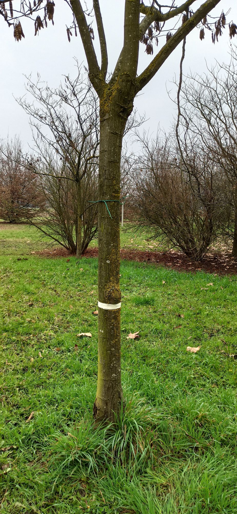 Hole 13 target