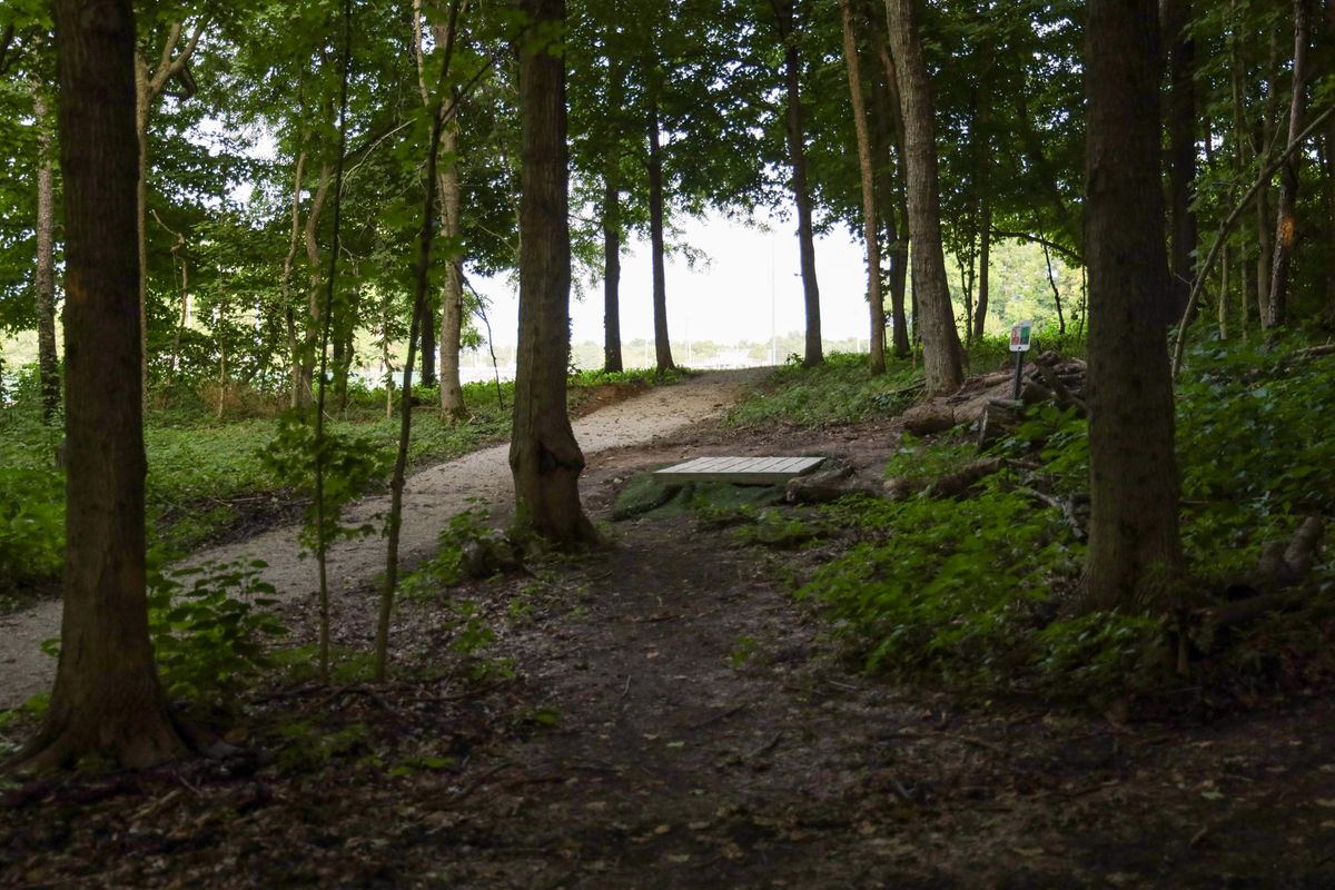 Hole 16 - long tee