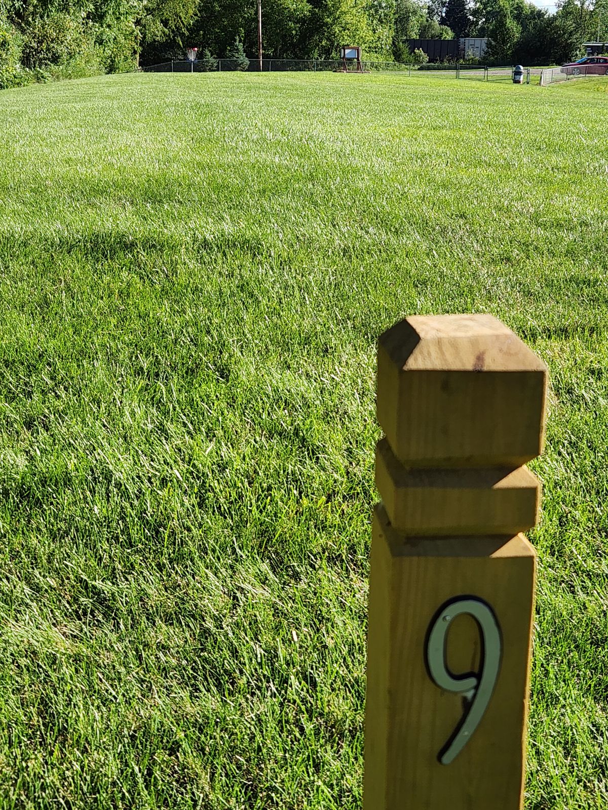Hole 9 Basket view from the tee