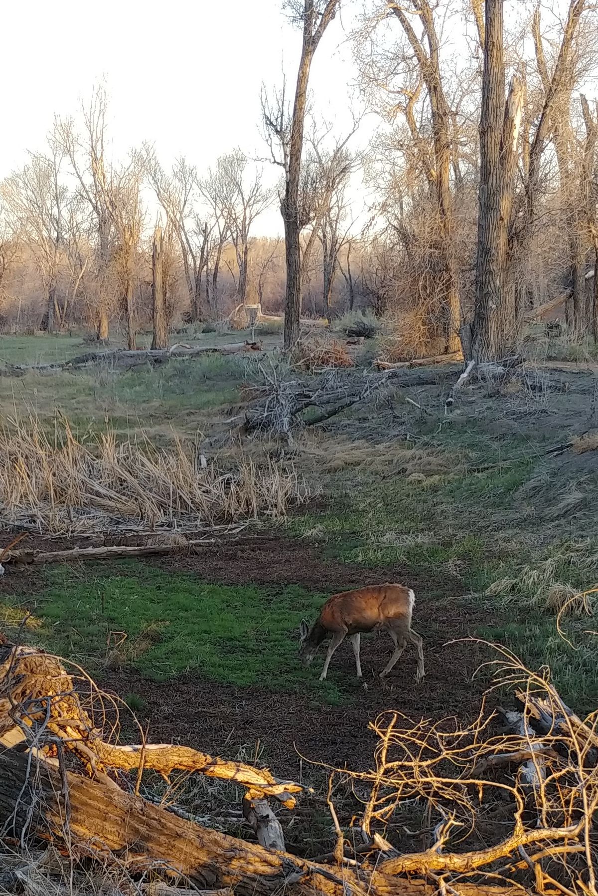 The 18th. And a friend.