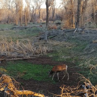 The 18th. And a friend.