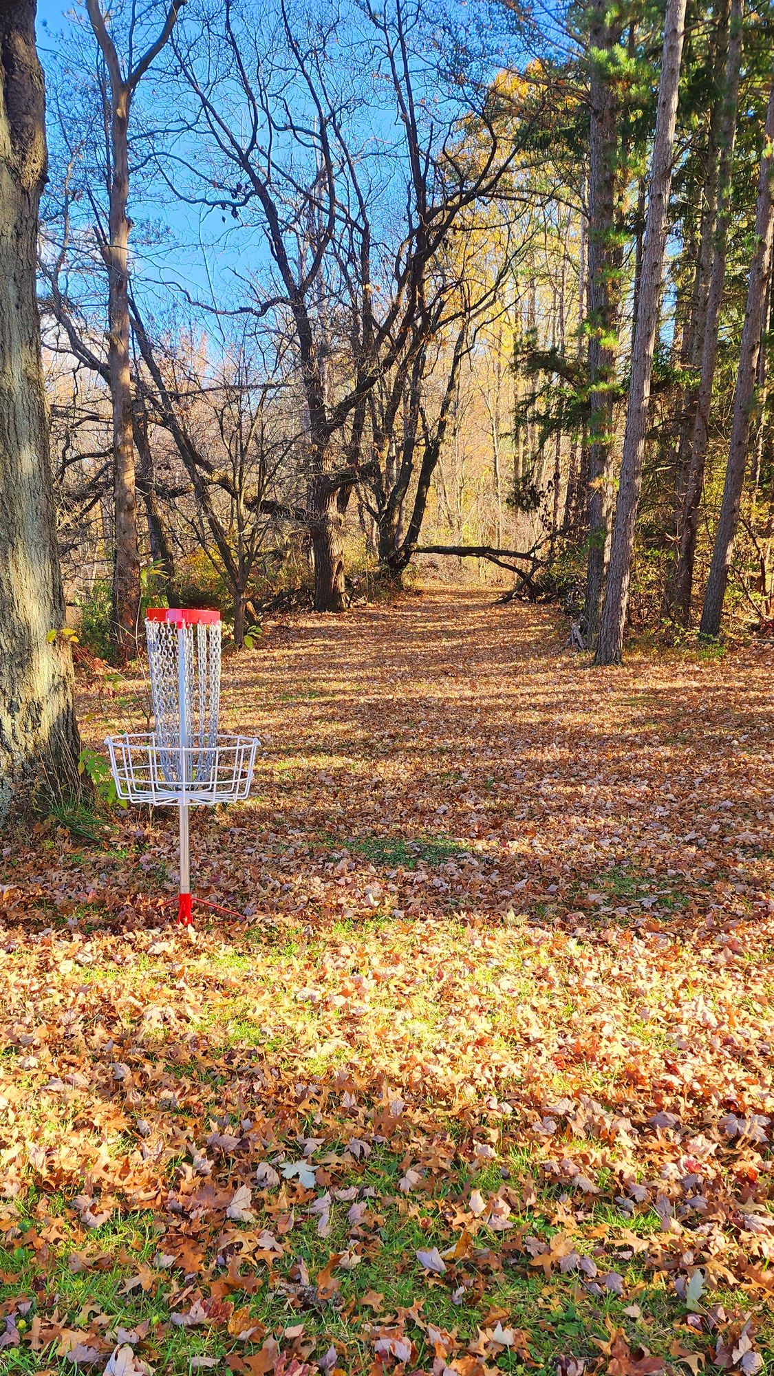 Hole 4 "over/under" basket location
