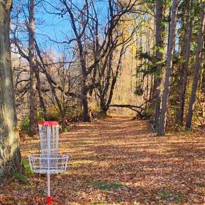 Hole 4 "over/under" basket location
