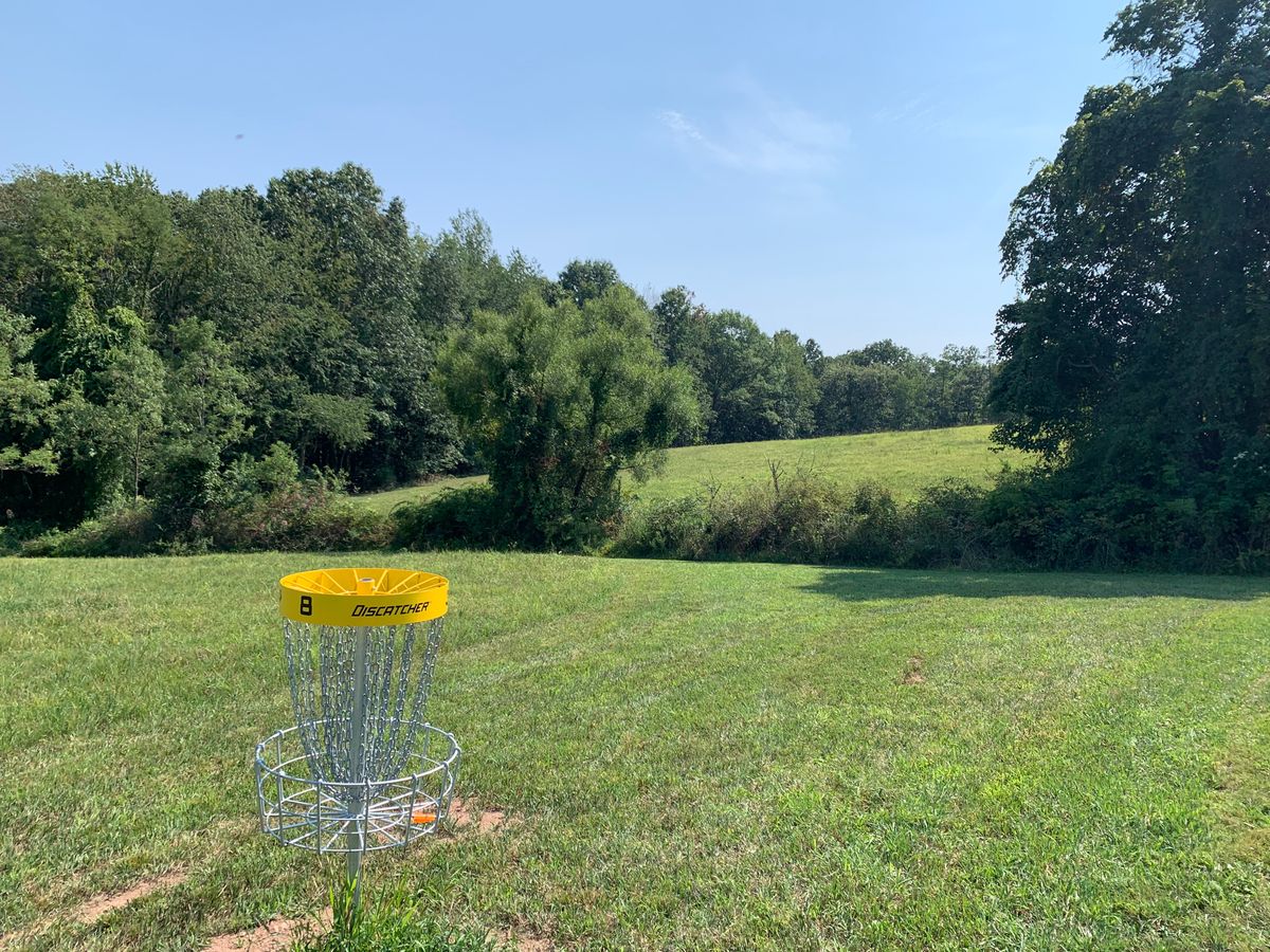 Basket #8 looking back towards the tee pads.
