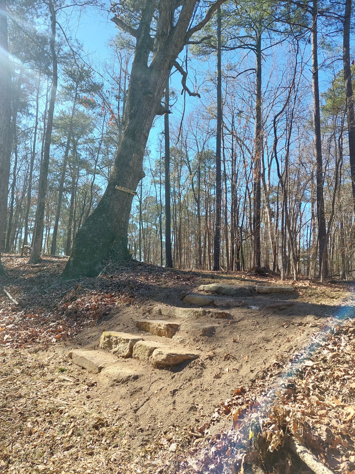 New stairs on hole 5 fairway!