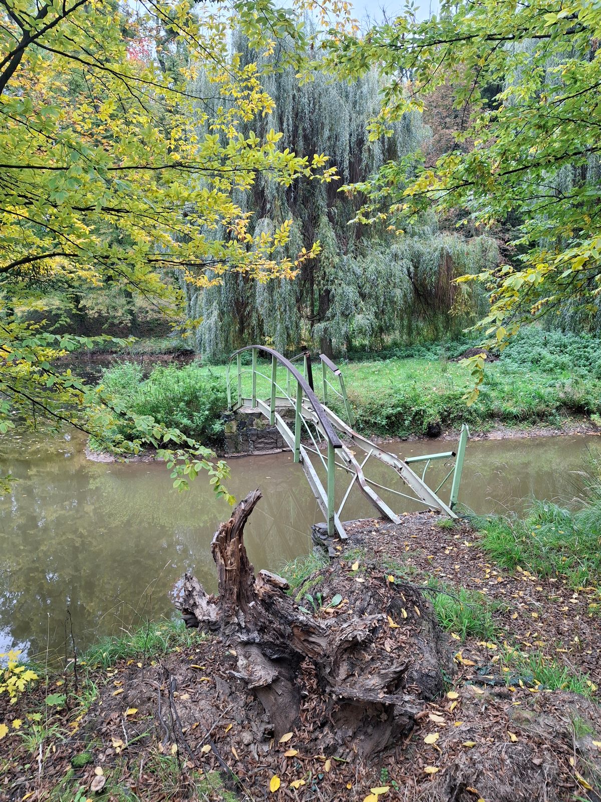 The bridge that went to a hole in the middle of the water, a tree fell on it at some point