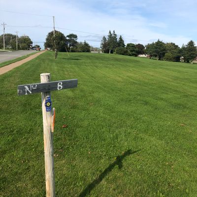 Hole 8