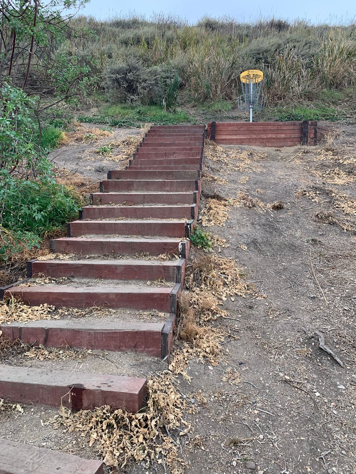 Sapwi DGC Hole 2