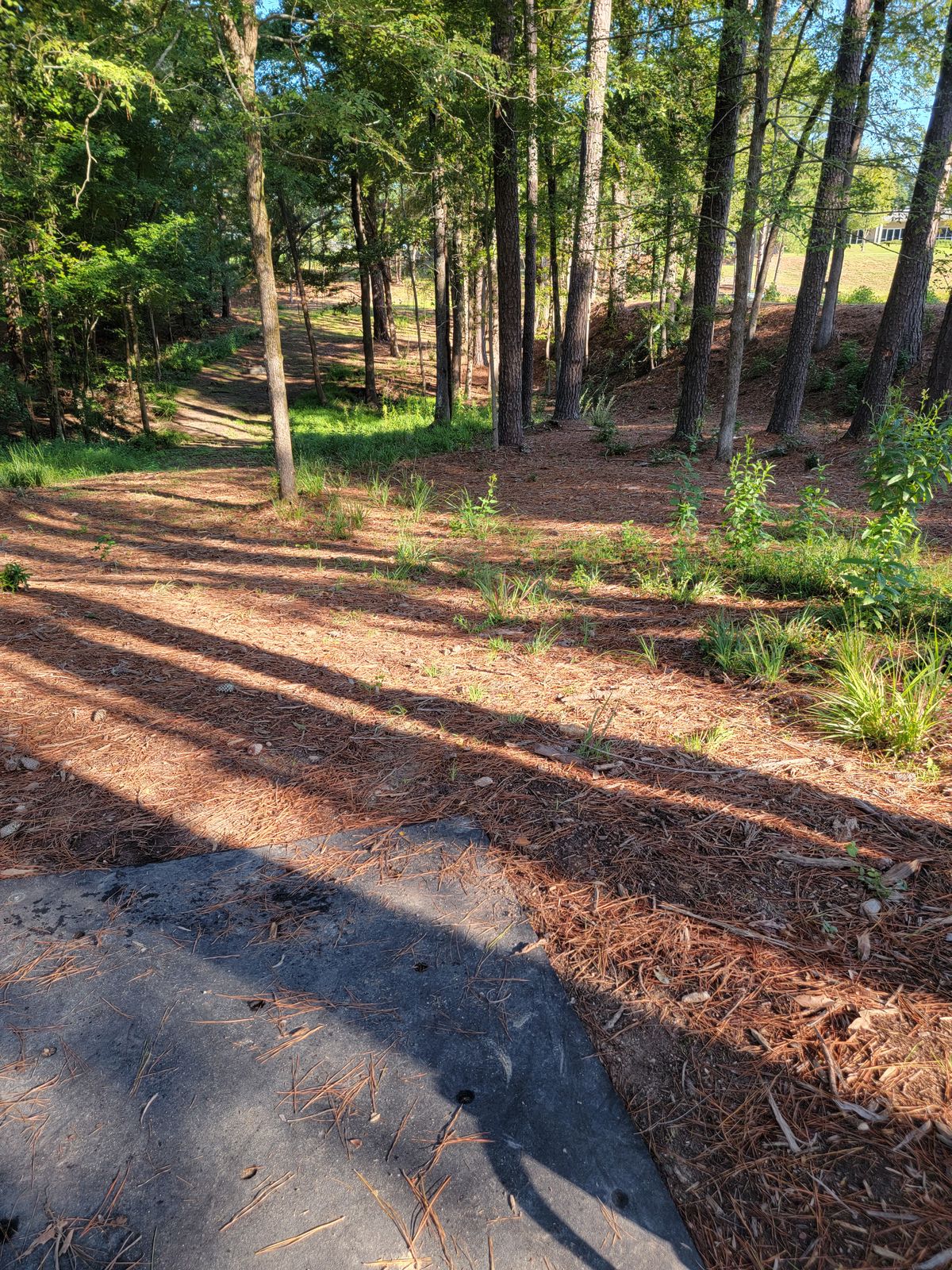 Hole 9...through the woods and up on the right