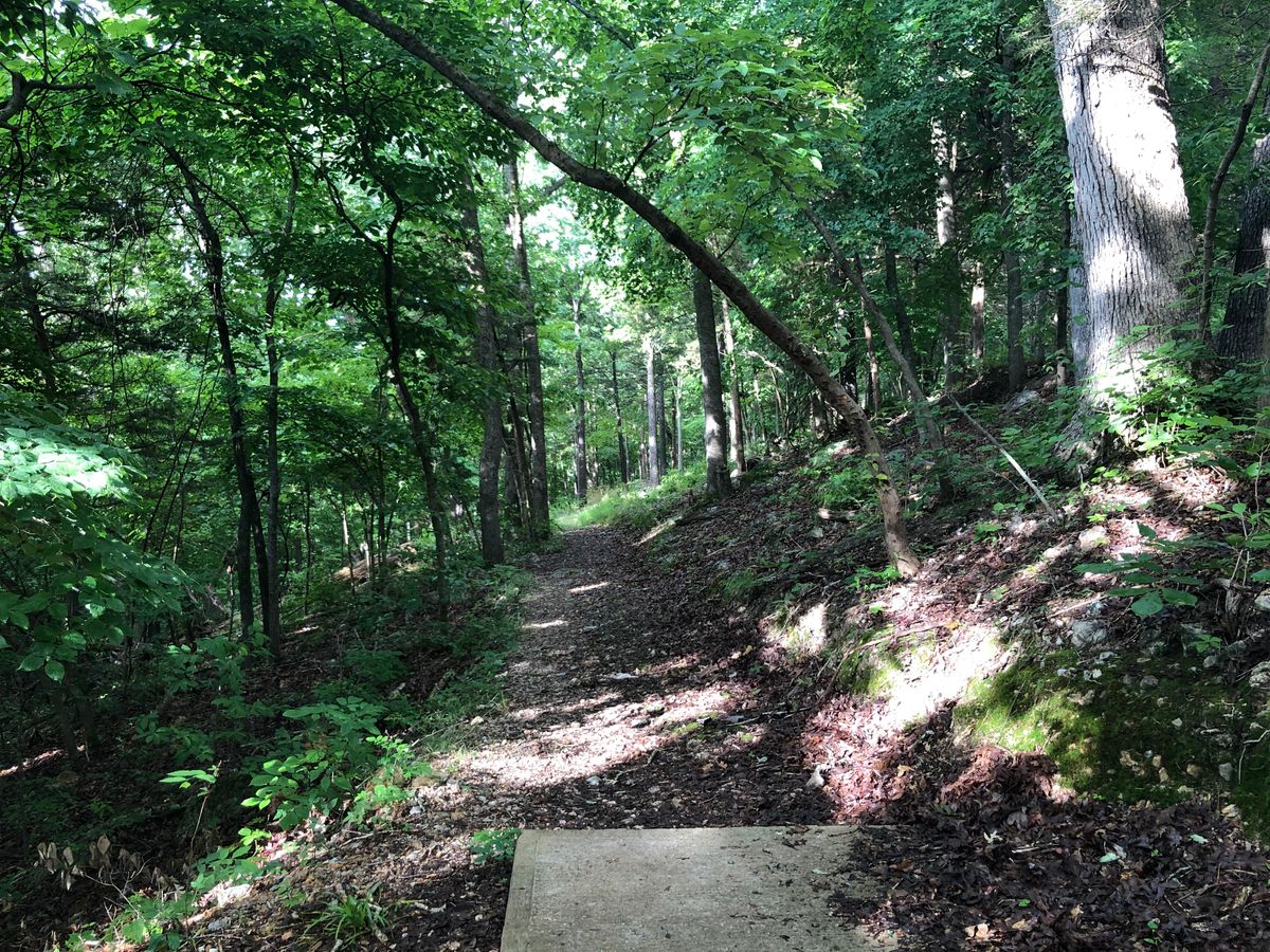 Hole 9 Tee