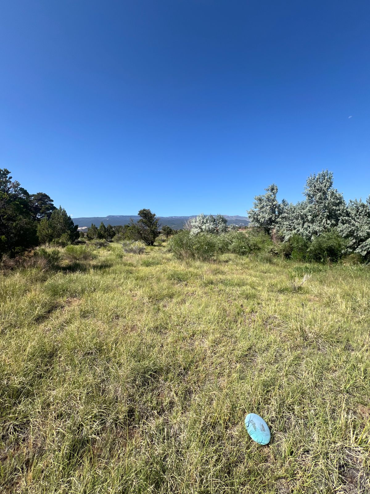 Hole 6  fairway