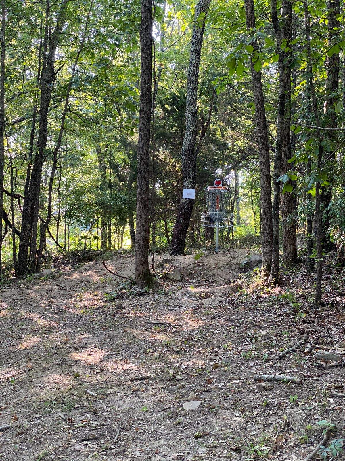 Hole 16 uphill green on right pin placement