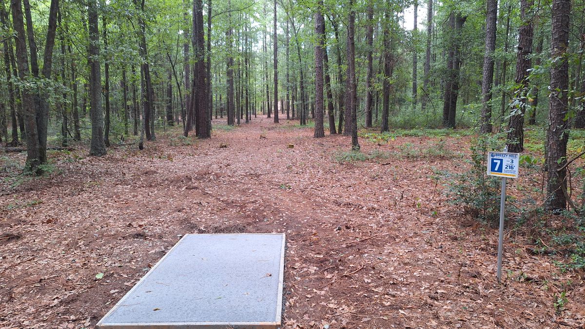 Hole 7 tee. 
Slight uphill, tunnel shot.
Not a long throw, but don't hit an early tree!