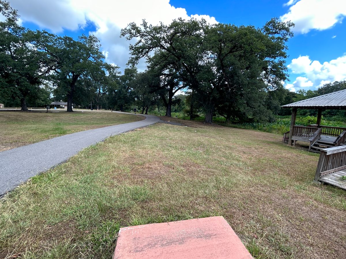 Hole 8 Fairway