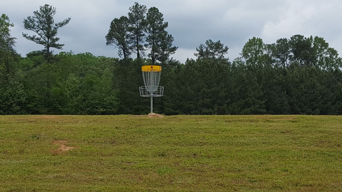 Hole #6. 515 foot elevated tee (in the pines in the background)