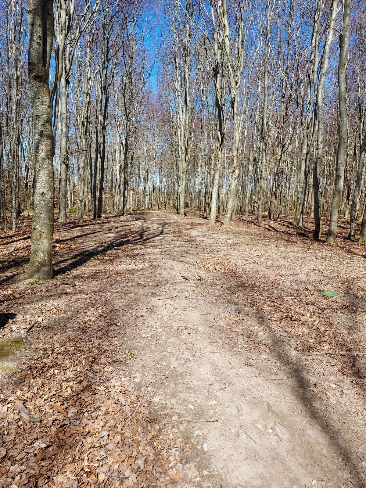 Fairway hole 4