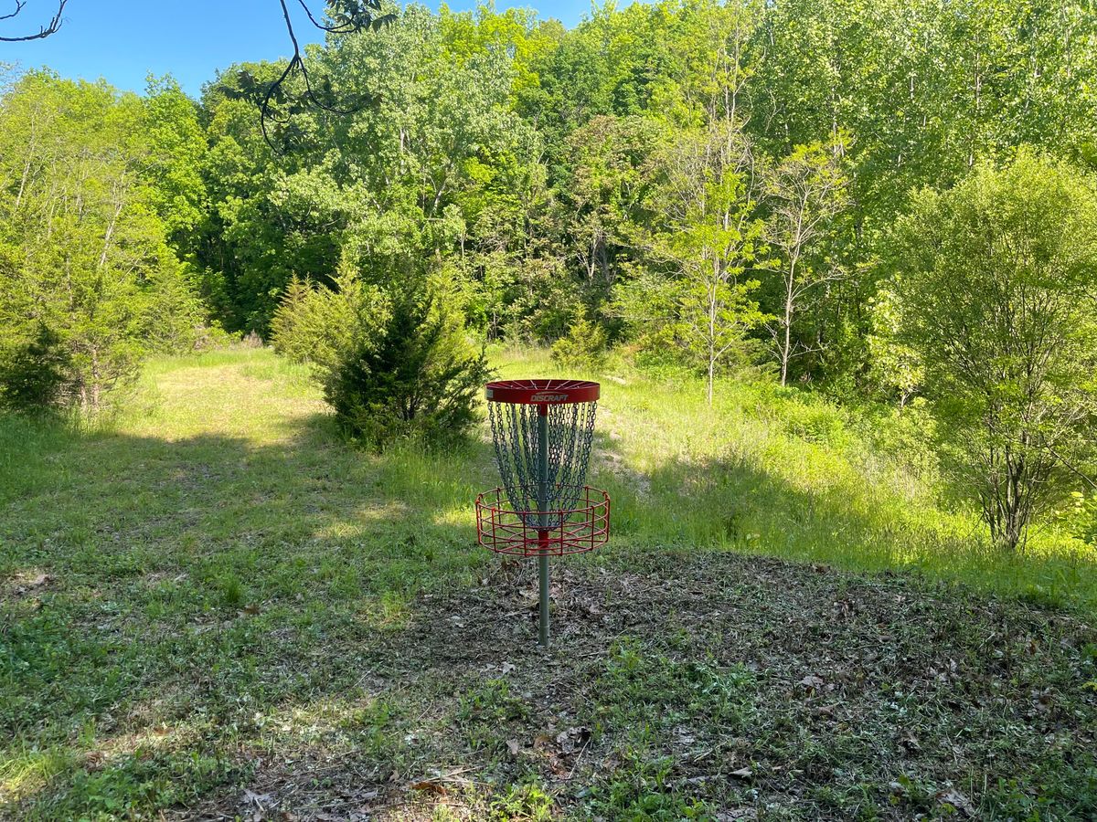 Hole #1 basket