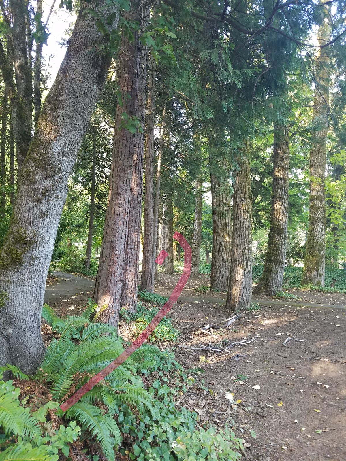 Hole seven approach location haha only time i birdied this hole, ideal landing spot is 20 feet further in a lil to the left.