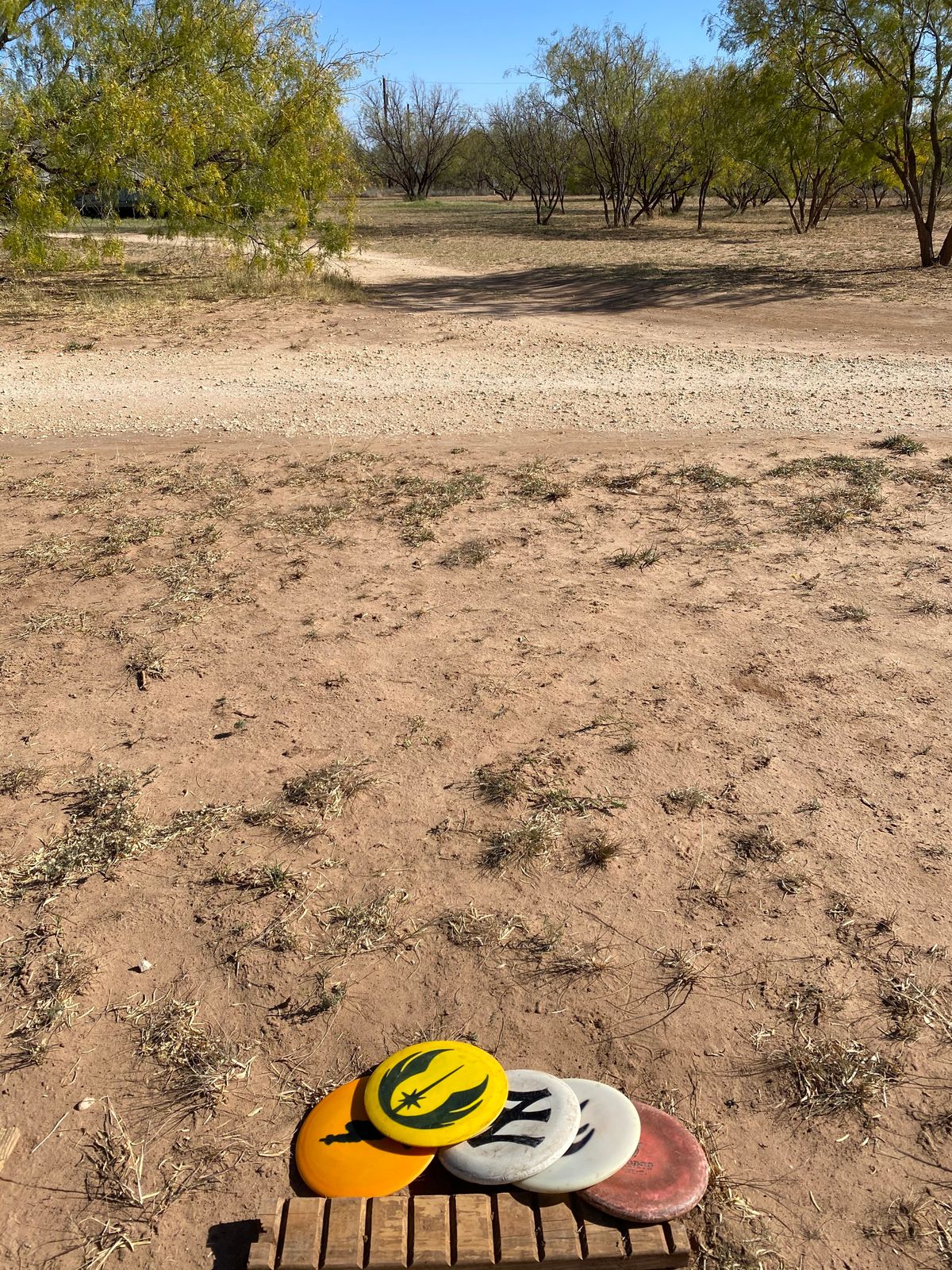 Teepad 5. Basket is located to right of fairway.