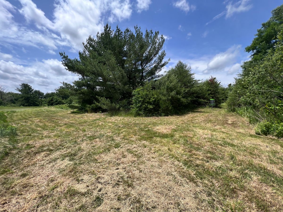 Hole 6 wide angle at the basket looking back at tee