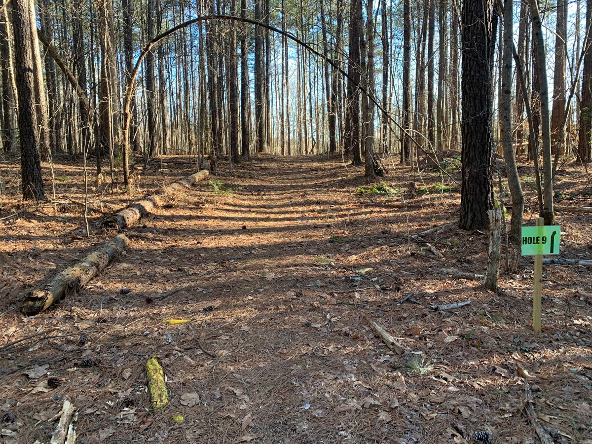 Hole 9 tee area