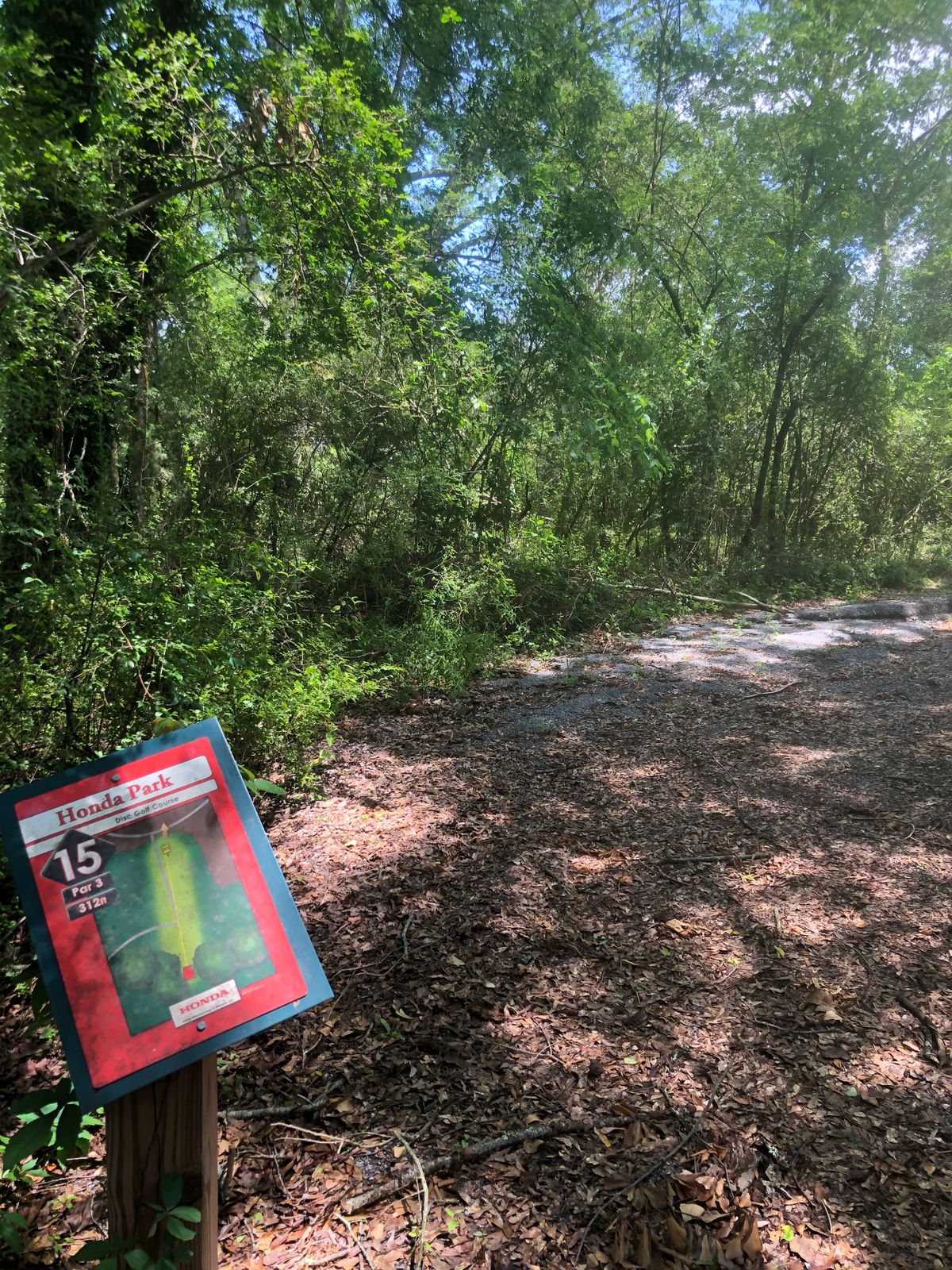 Hole 15