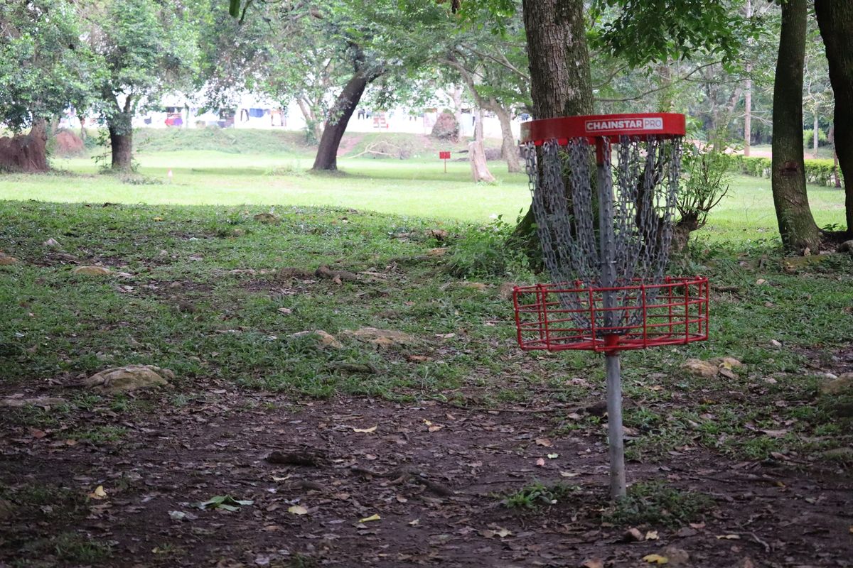 Hole 17 Basket