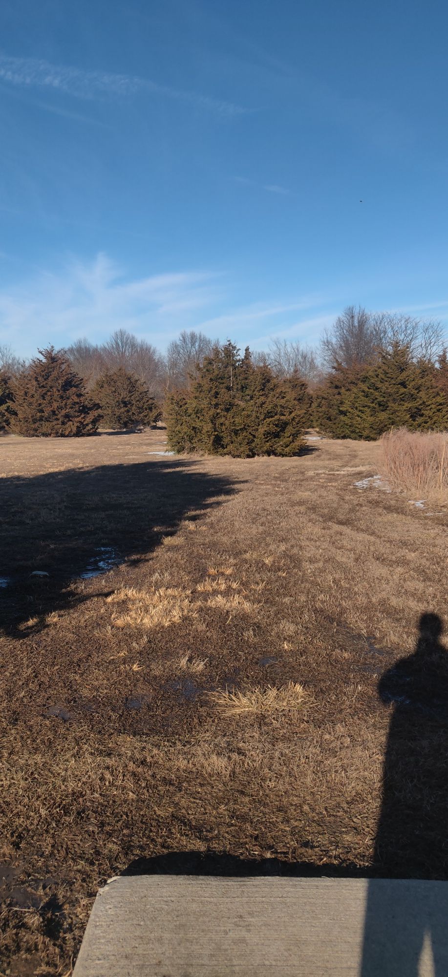 Hole 7. Worst hole. Blind basket. Blind landing. Hope you don't land in tree and lose disc.