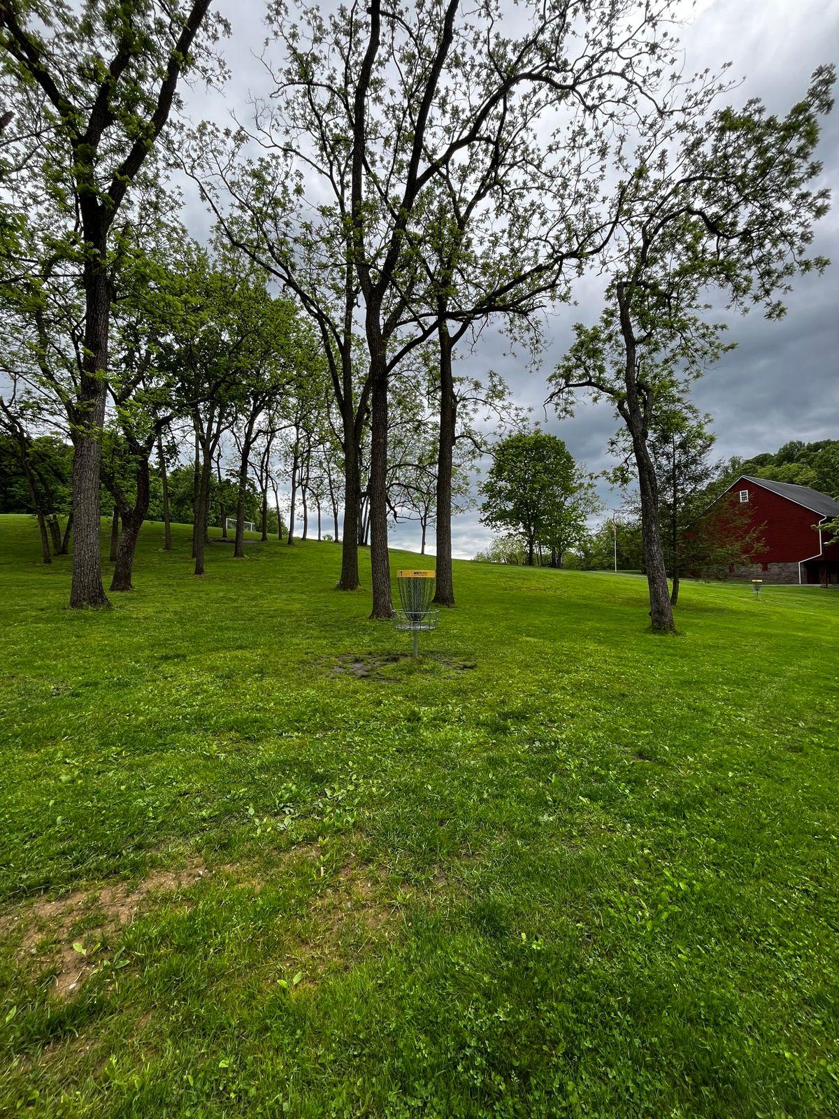 Hole 1 yellow green