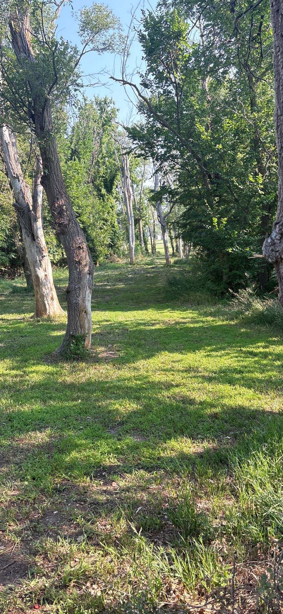 SKY VU Disc Golf Course