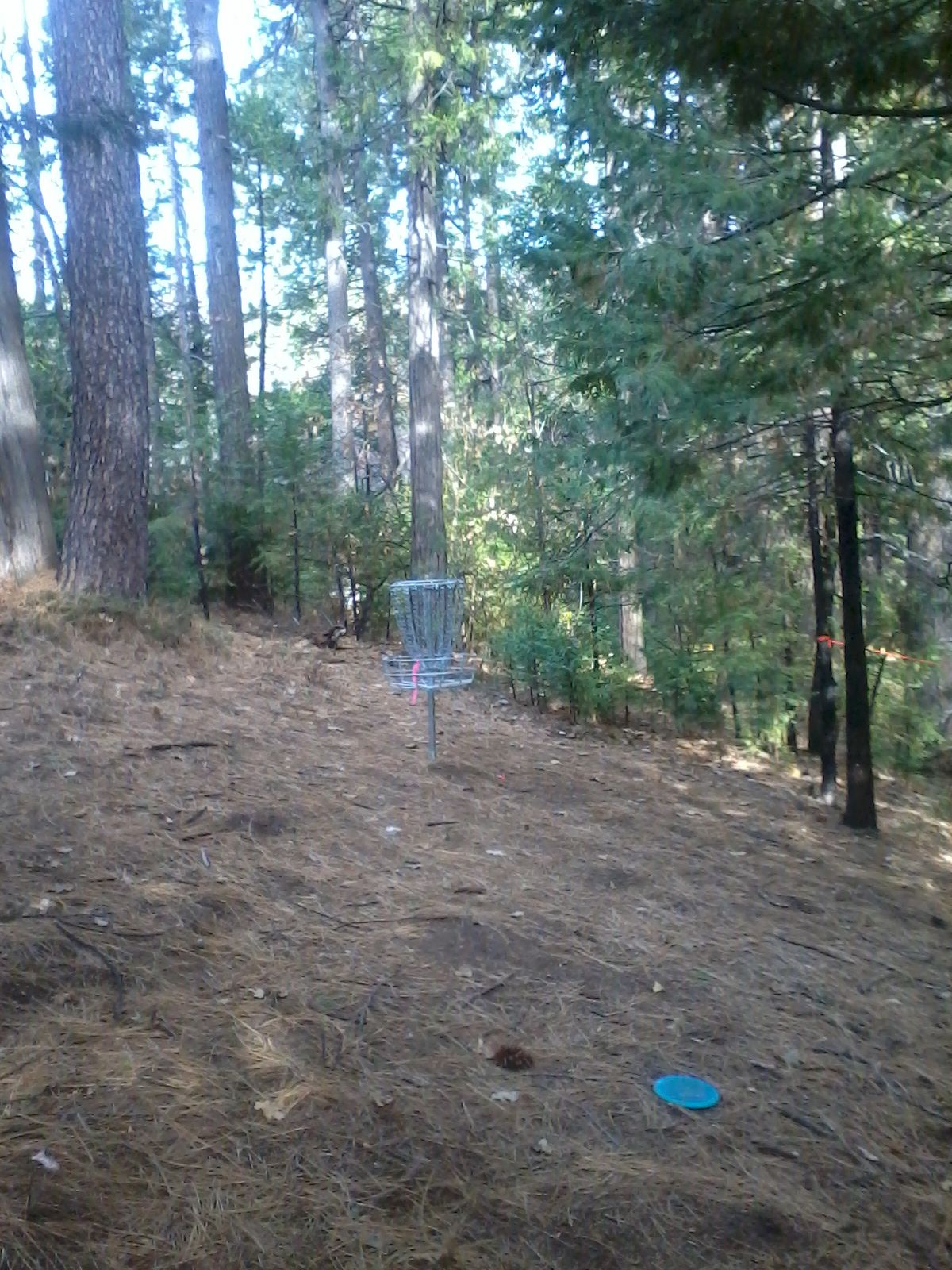 Basket #7