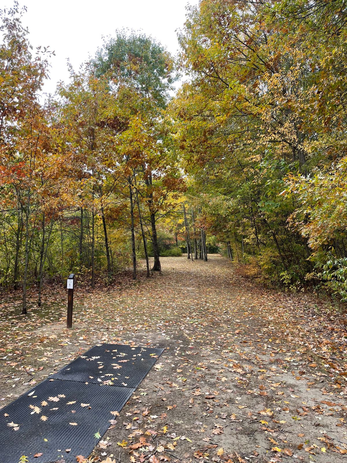 Fall 2022. Hole 1.