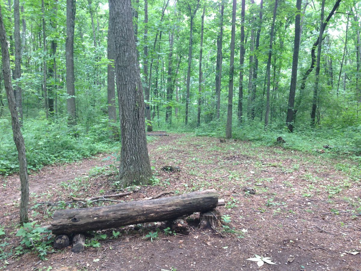 Hole 3