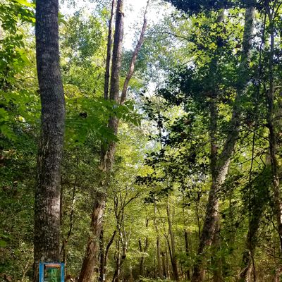 Hole 3 blue