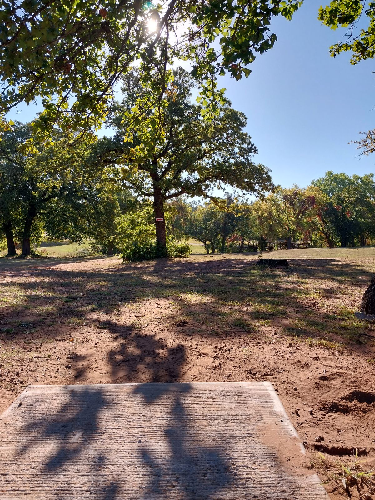 Tee 10 Looking straight toward the basket location.