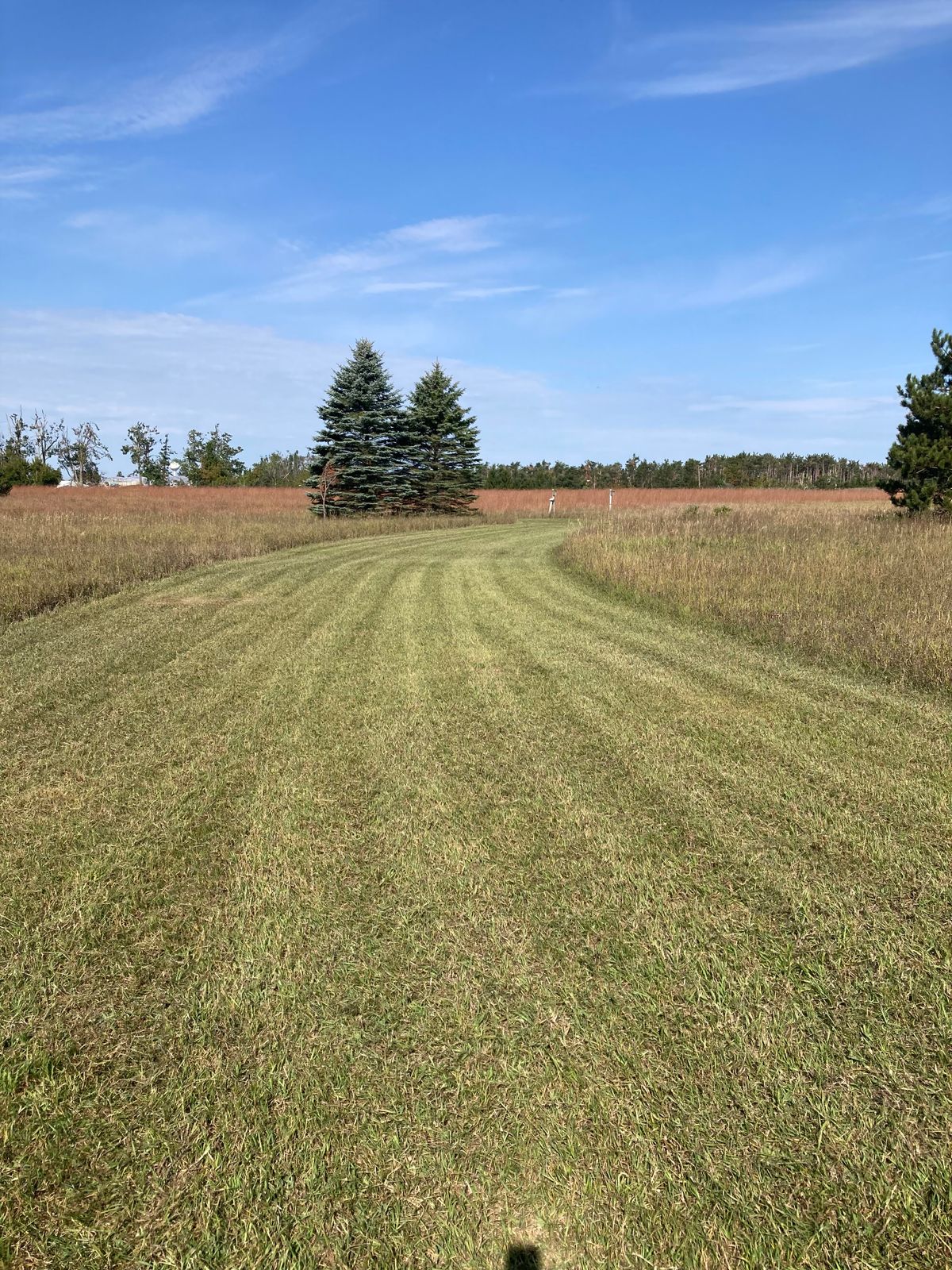 Hole 9 fairway looking back at tee from basket.