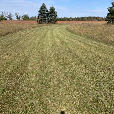 Hole 9 fairway looking back at tee from basket.