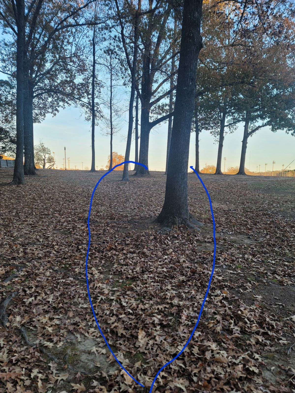 Hole 3 
226