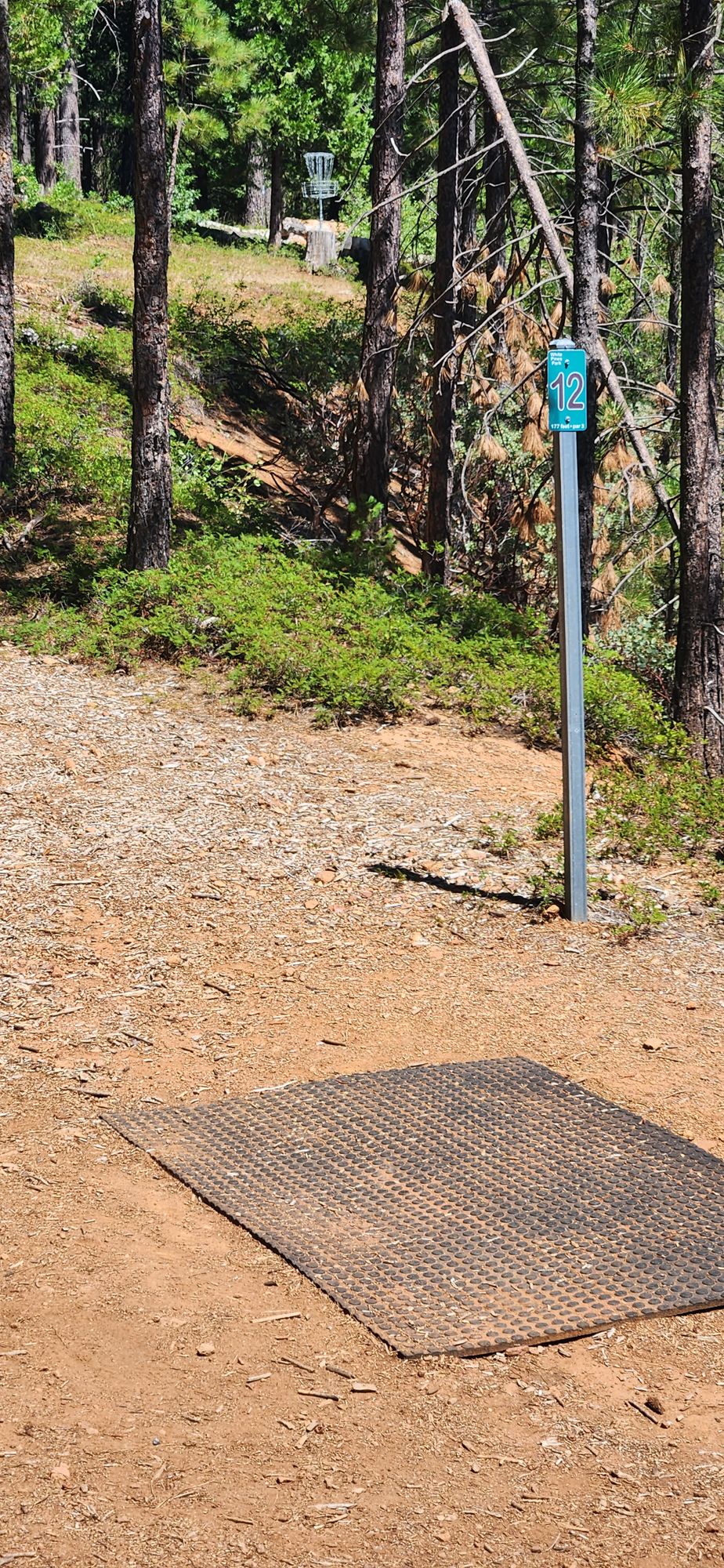 Hole 12