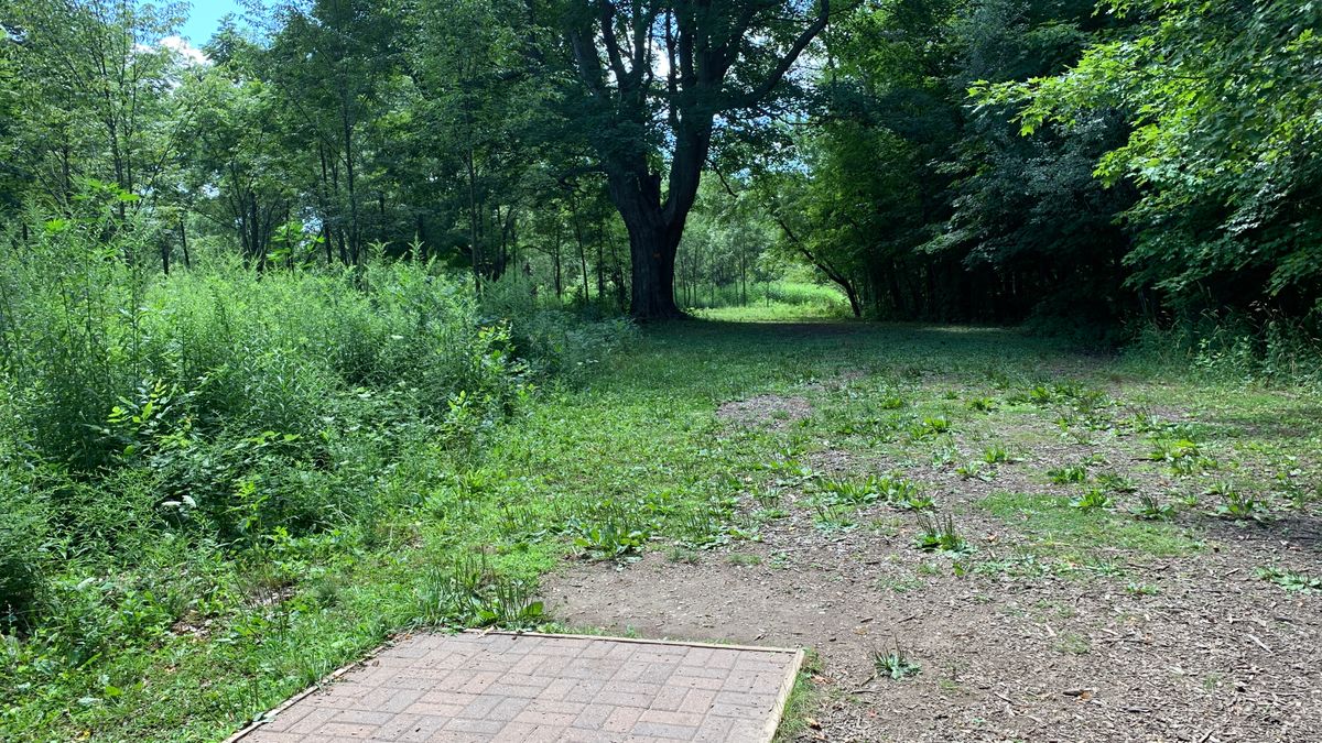 Hole 4
